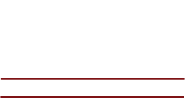 DK Security White Logo
