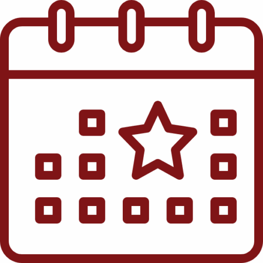 Event Security Icon
