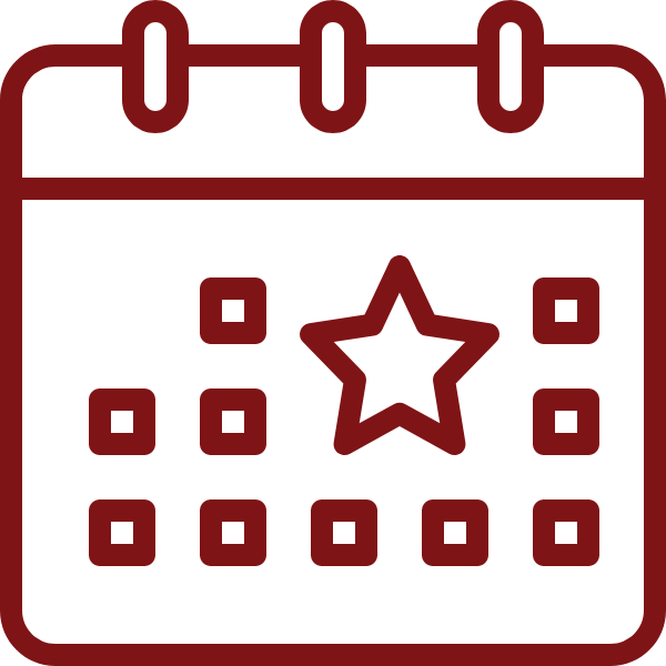 Event Security Icon
