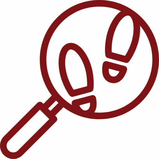 Investigations Icon