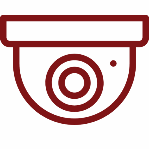Stationary Surveillance Icon