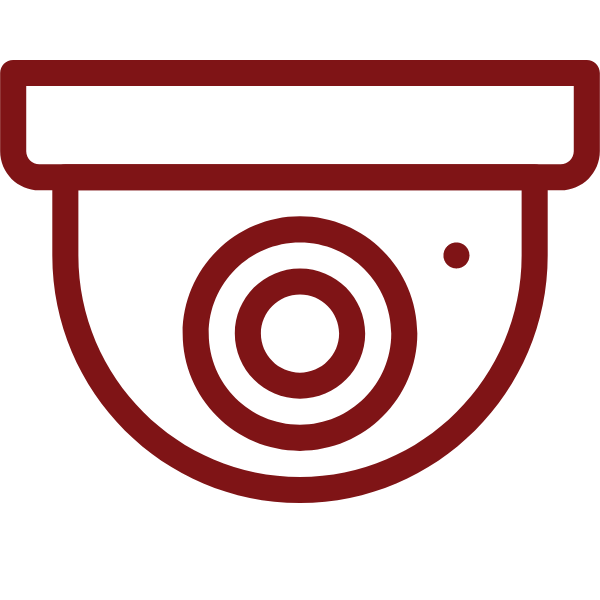 Stationary Surveillance Icon