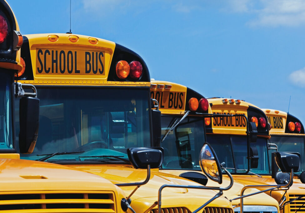 Yellow school buses parked diagonally,Bradenton, Florida, USA
